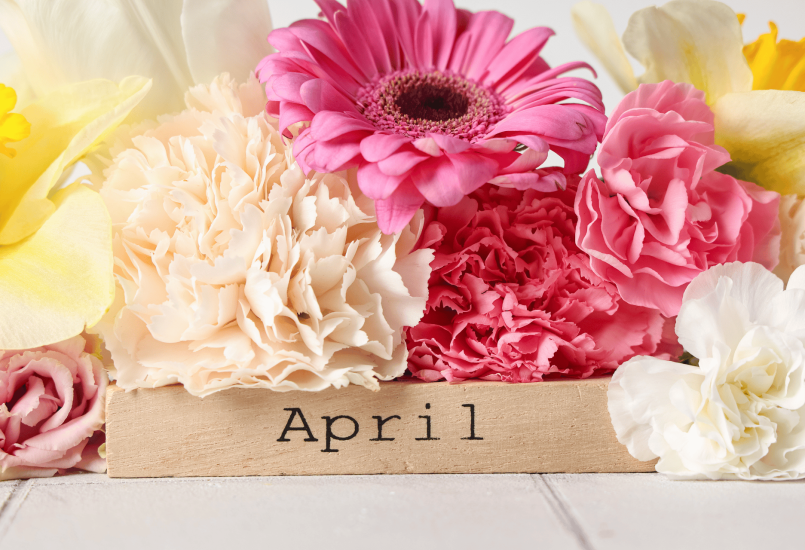https://po-new.cda-development.co.uk/wp/wp-content/uploads/2026/04/April-HC-newsletter-2-805x550.png
